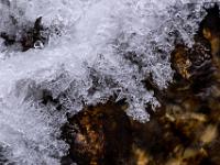 Klausgraben - Zarte Eisstruktur mit Löchern bildet sich am Bachufer